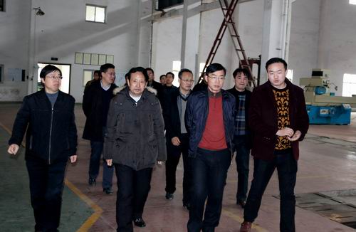 临湘市委书记黄俊钧一行到开云网_开云网(中国)立体停车设备考察调研